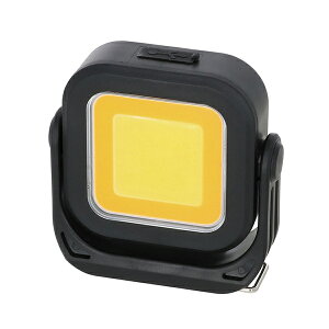 COBCg WLT-10LiBiUSBdj