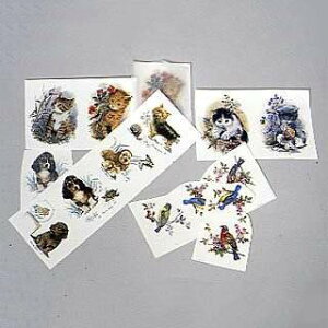 | G^fUC]ʎZbg (L)  14s[X