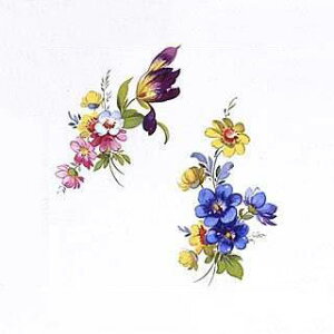 | G^fUC]ʎZbg (L) NOD2@ԁij 6×6cm@20s[X