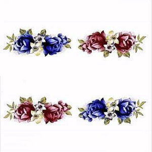 | G^fUC]ʎZbg (L) NOD15@ 2×5cm@40s[X