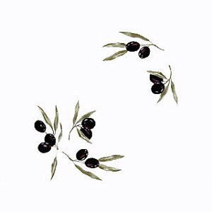 | G^fUC]ʎZbg (L) NOD19@I[u 2×5.5cm@12s[X