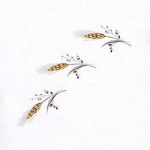 | G^fUC]ʎZbg (L) NOD20@ 4.5×2cm@36s[X