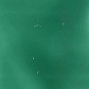 |^LcG̋iELj ݂ǂ 50g