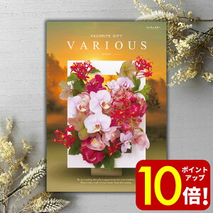 y|Cg10{Iz y J^OMtg VARIOUS @AX }`FX^[ 12900~R[X 15000~  j j Ԃ oYj oYj j j o o C