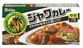 ジャワ カレー 中 辛