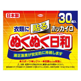 送料無料【8個セット】ホッカイロぬくぬく日和貼るレギュラー（30個）