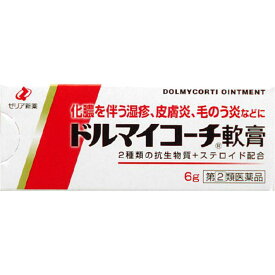 【第(2)類医薬品】ドルマイコーチ軟膏(6g)