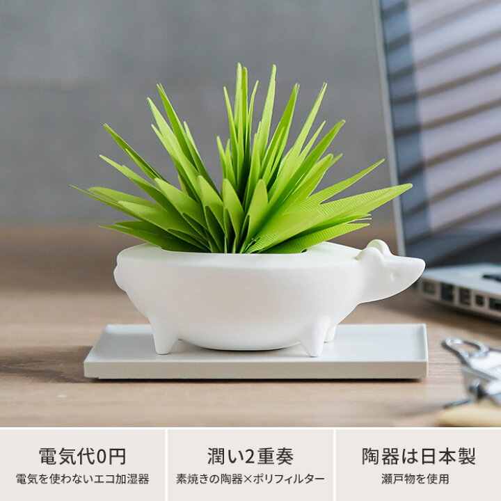 お弁当グッズのカラフルボックス