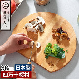 y5 ő100|CgobNz yV1  ܂Ȕ ؐ { yTtz l\  ^ ی^   R 30cm ɂ D^ ~ JbeBO{[h ܂ڂ^ ۂ