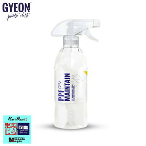 W[I PPFCeC1000 Q2M-PPFM100