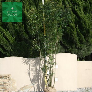 V}glR@@@H:3500mm@A c