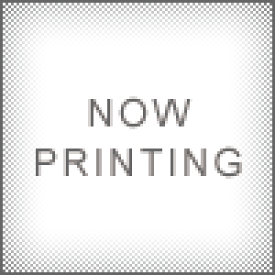 鉄粉除去剤 洗車 ブレーキダスト 塗装面 ホイール 鉄粉除去クリーナー スプレー コーティング前の下地処理 ジーオン アイアン リディファイン 4000ml Q2M-IRR400 メンテナンス