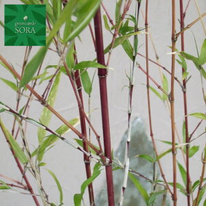 xjJ`N@@@H:1500mm@A c