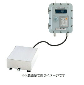 (大型)A&D ST60K05-FP 耐圧防爆台はかり 計量システム ひょう量:60kg 目量:0.02kg