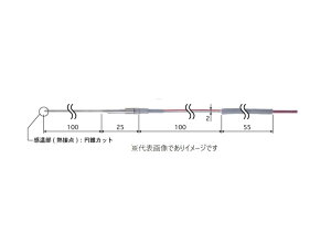 �����v�� BUM-01E-TS1-ASP ���x�Z���T HRM�V���[�Y�p��p -100�`200��