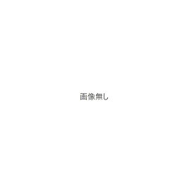 アサダ EP383 φ100mmグリセリン入圧力計 2.5MPa