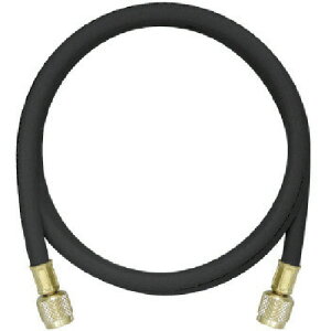 AT_ Y16096 5/8 ͌^`[WOz[XvX2 244cm