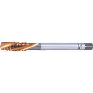 OSG HS-LT-RFT-OH5-M22 X 2.5 X 150 �|�C���g�^�b�v �����V���N���^�b�v �����O�V�����N 8304084