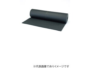 (��^�E�@�l�����)�C�`�l��TASCO TA285FS-5 �A�[�}�t���b�N�X�V�[�g �S������