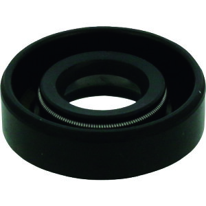 ēcȊw 050600-19 CV[ GTO-250R/1000p