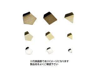 �V���d�q F1PSO-500M OIML�^�󕪓� 500mg F1�� (����) �X�e�����X��