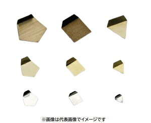 新光電子 M1PSO-20M OIML型板状分銅 20mg M1級(2級) ステンレス