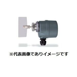 (����) ���a���d�H�� HL-400N-200V-L100 �p�h�������x���X�C�b�` G3/4