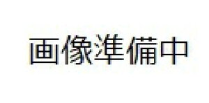 v ی T[EF SW JIS10K25ARF 15 100L SW11-061-20XXXXXXXXX0