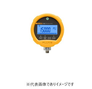 �t���[�N FLUKE-700RG05 �������̓e�X�g�Q�[�W