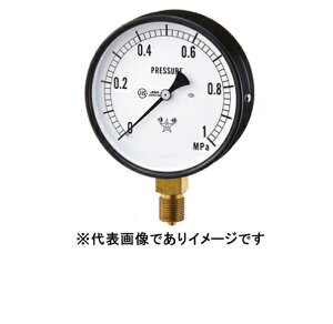 �E������ S-21-0.1MP �ėp���͌v �X�^�[�Q�[�W AT1/4-60X0.1MPA �E�����퐻��