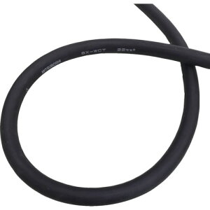 Oc SX-WCT22-30M nڗpP[uSX-WCT