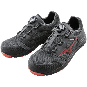 ~Ym F1GA220209-245 SC I[}CeB _C [Jbg LSII52L BOA ubN×bh 24.5 ƌC