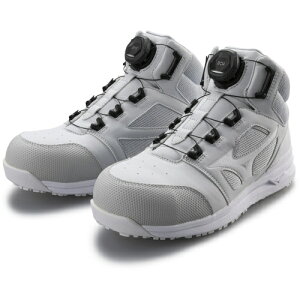 ~Ym F1GA220305-250 SC I[}CeB _C ~bhJbg LSII73M BOA O[×zCg 250 ƌC