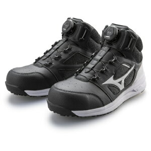 ~Ym F1GA220309-245 SC I[}CeB _C ~bhJbg LSII73M BOA ubN×zCg 245 ƌC