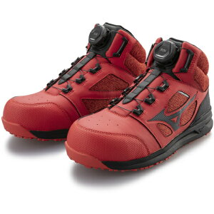 ~Ym F1GA220362-260 SC I[}CeB _C ~bhJbg LSII73M BOA bh×ubN 260 ƌC