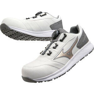 ~Ym F1GA231701-290 SC I[}CeB [Jbg _C SU51L BOA zCgXS[hXO[ 290 ƌC