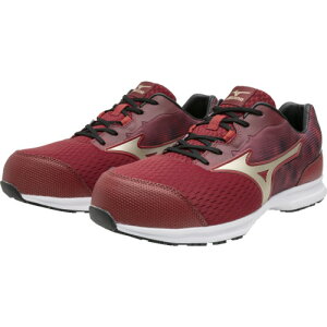 ~Ym F1GA250262280 SC I[}CeB LL11L bhXS[h 280 ƌC