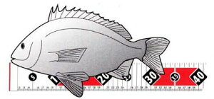 }@ RFC2L 2m ދpW[ tBbVOW[