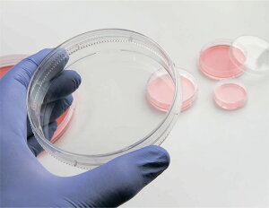 Thermo Fisher Scient �C�[�W�[�f�B�b�V�� 60mm 150462 280��