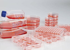 Thermo Fisher Scient Nunclon Sphera �}���`�f�B�b�V�� 174930 7��