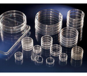 Thermo Fisher Scient �k���N �y�g���f�B�b�V�� No.150326 400��