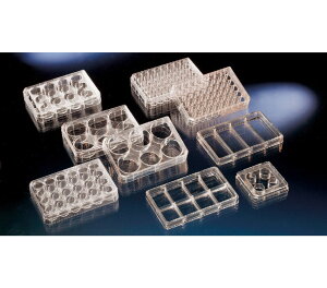 Thermo Fisher Scient �k���N �}���`�f�B�b�V���ی^ No.150687 75��