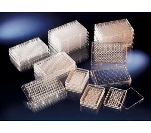 Thermo Fisher Scient �k���N 96�E�F���v���[�g No.168055 50��