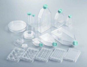 Thermo Fisher Scient BioLite 25cm2 Flask, Vented 130189 200