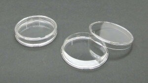 ~|A PD2004700 ygM 150 ŋۃygfBbV