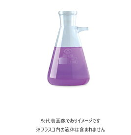 ISOLAB 濾過フラスコ 1000ml