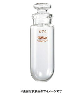 IWAKI  100mL  ږ ے 8524CTF100 1{