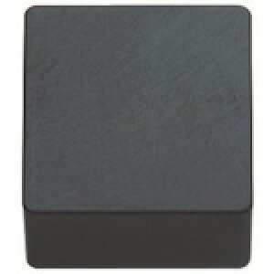 ���Z�� SNGN120416T02025A65 ������H�p�`�b�v �Z���~�b�N A65 10��