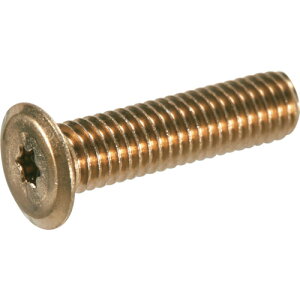TRUSCO 381-4160 B187-0625 �w�b�N�X���[�u���ɒᓪ�l�W �X�e�����X ���C�g�u�����Y M6×25 10�{�� 3814160
