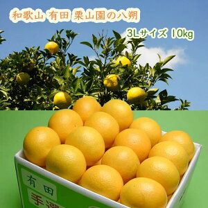 �a�̎R �L�c �I�R���̔���(�͂�����) 3L�T�C�Y10kg (��������/����1000�~) ��D�] �т�����̔������� �W���[�V�[�Ŏ|�݂����Ղ�